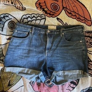 everlane the denim shorts